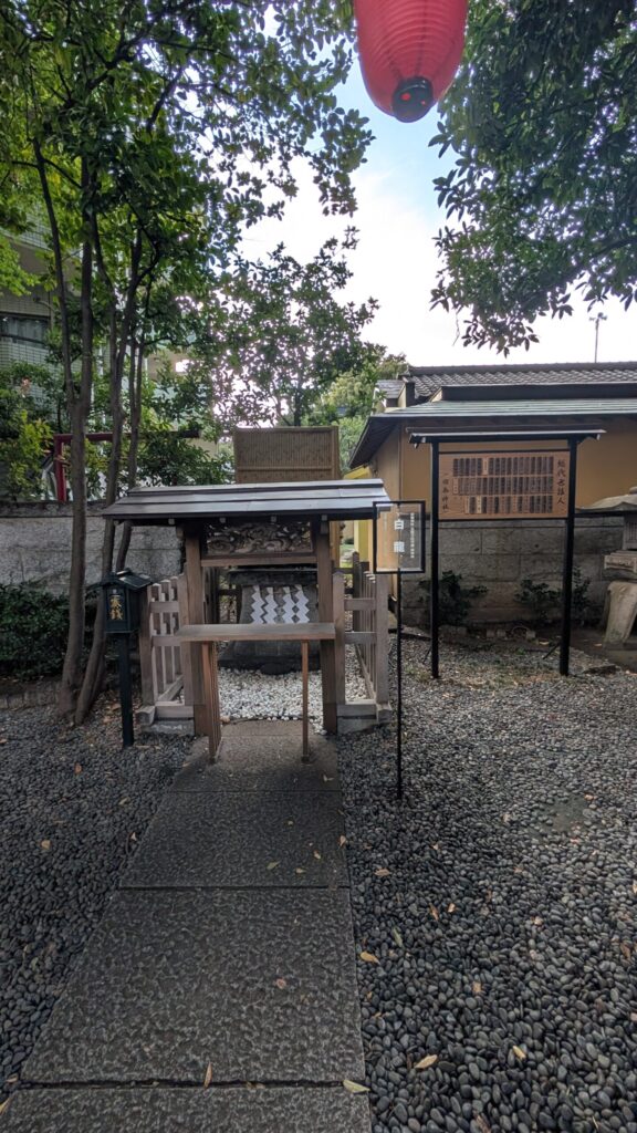 白龍　見えない・・