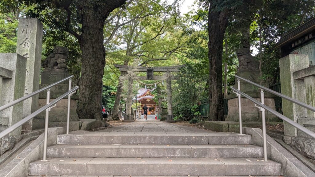 階段から撮影した鳥居